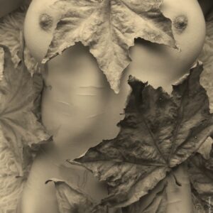 Lemuria's Leaves