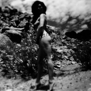 Jazz of Joshua Tree