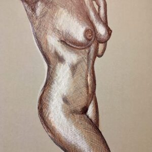 Female Torso