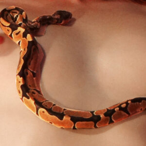 Venom Serpent - 1