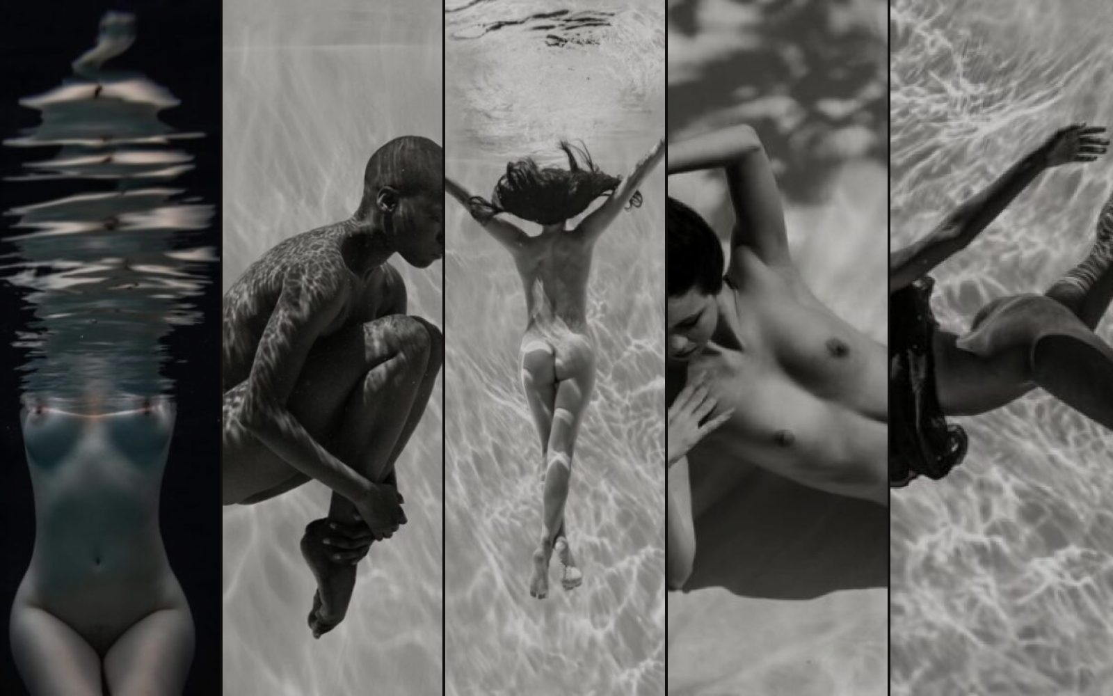 Dan Katz Photography